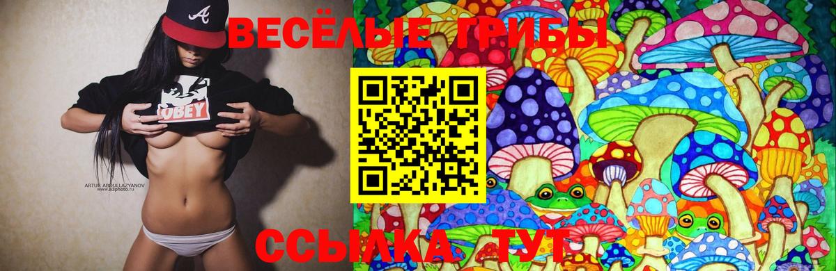 Псилоцибиновые грибы Psilocybine cubensis  Вход с VPN  купить закладку  Нальчик 